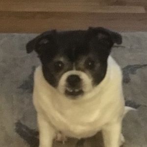 Meet your Posher, Carolyn